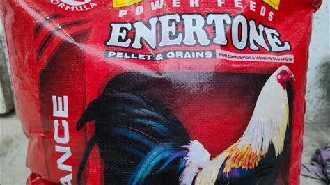 enertone for conditioning|TB.